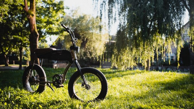 uploaded-image-uzun-koprude-ekonomik-kalkinma-1698137354330