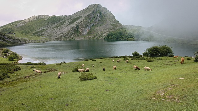 Uzunköprü’de Öğrencilere Burs ve Eğitim Destekleri Uzunköprü’de Öğrencilere Burs ve Eğitim Destekleri